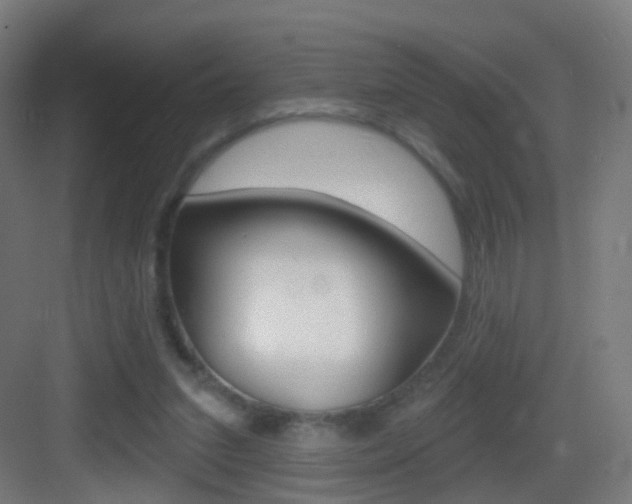 X0000083530207200702090728