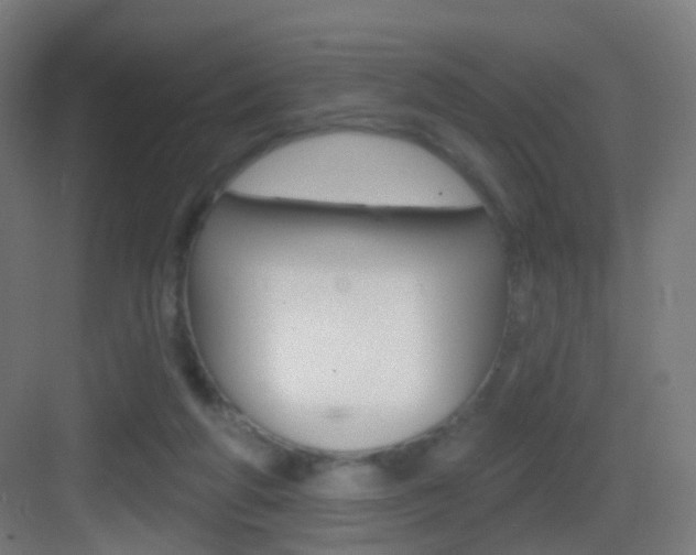 X0000083530210200702090728