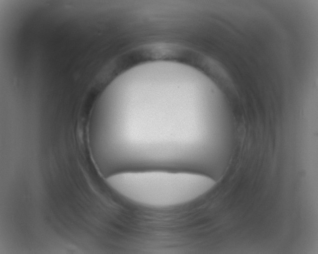 X0000083530214200702090728