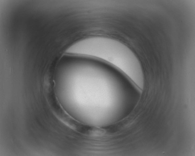 X0000083530215200702090728