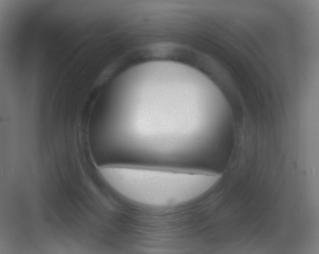 X0000083530216200702090728