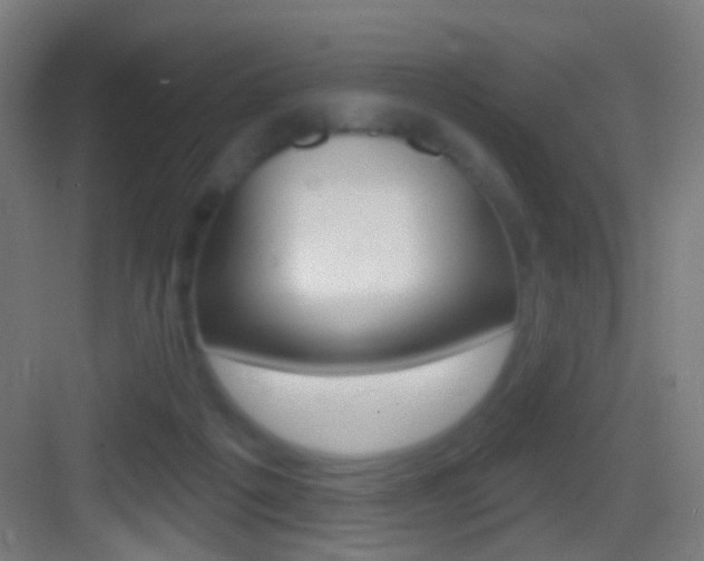 X0000083530217200702090728