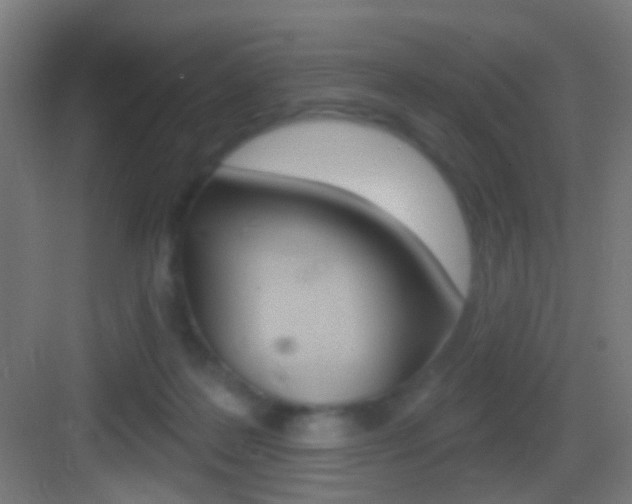 X0000083530219200702090728