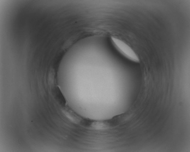 X0000083530231200702090728