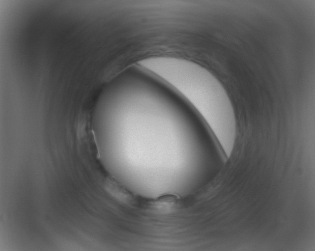 X0000083530233200702090728