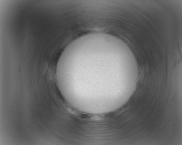 X0000083530236200702090728