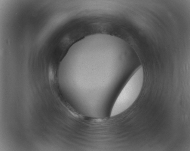 X0000083530239200702090728