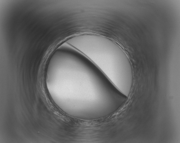 X0000083530241200702090727