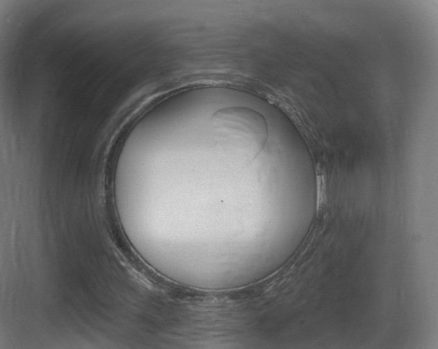 X0000083530243200702090727