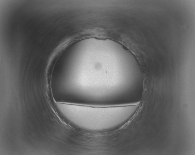 X0000083530245200702090727