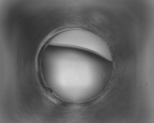 X0000083530246200702090727