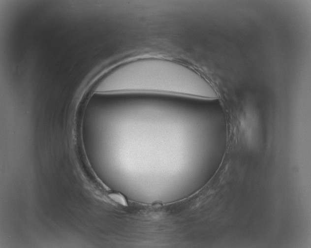 X0000083530247200702090727