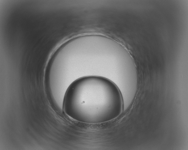 X0000083530248200702090727