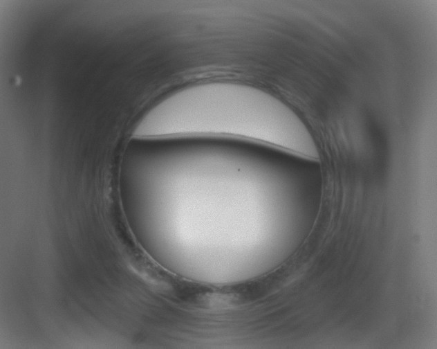 X0000083530255200702090727