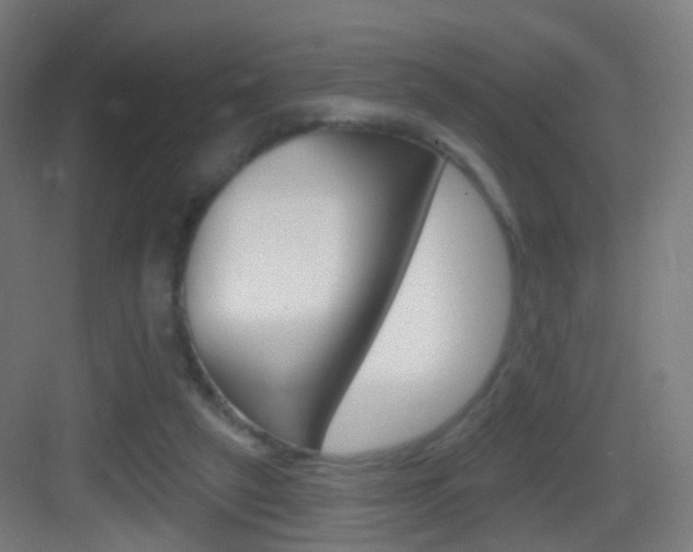 X0000083530257200702090727