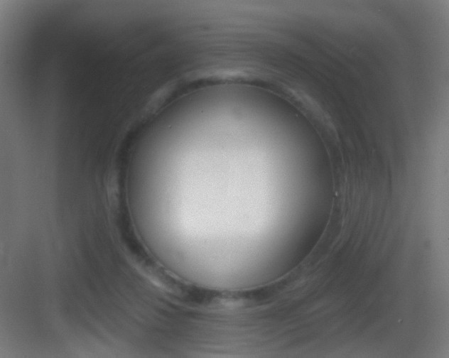 X0000083530260200702090727