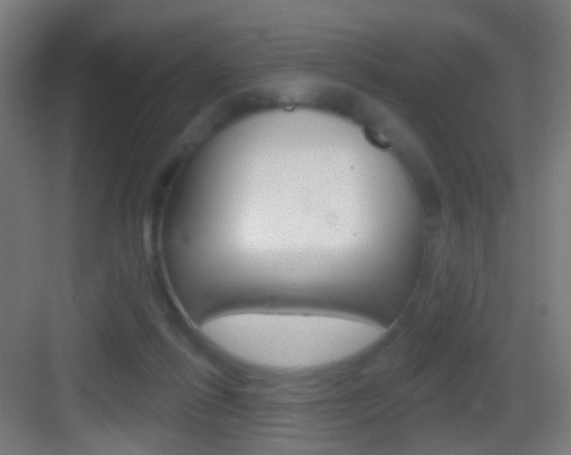 X0000083530262200702090727