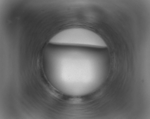 X0000083530266200702090728