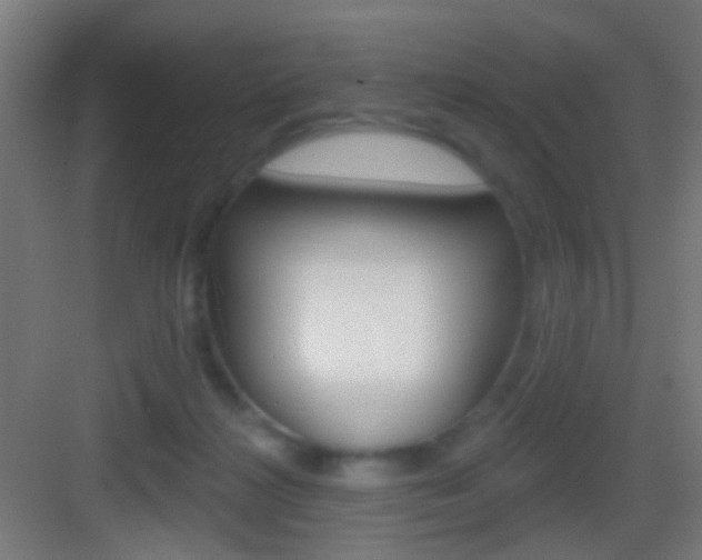 X0000083530268200702090728