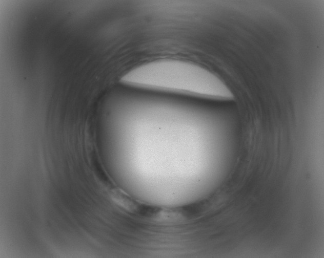 X0000083530270200702090728