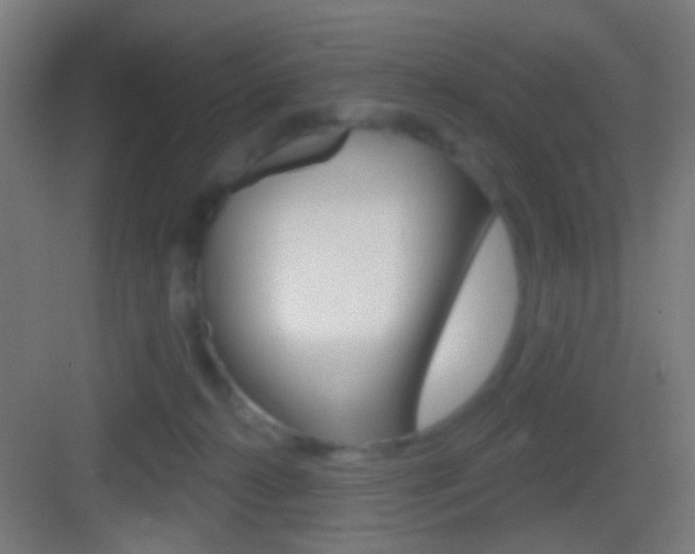 X0000083530272200702090728