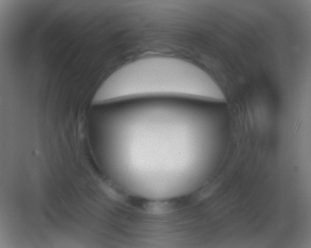 X0000083530273200702090728