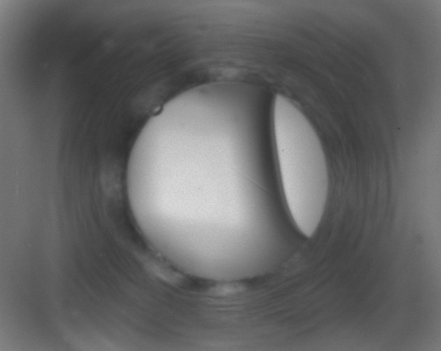 X0000083530274200702090728