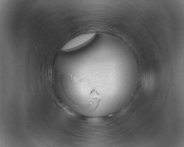X0000083530281200702090728