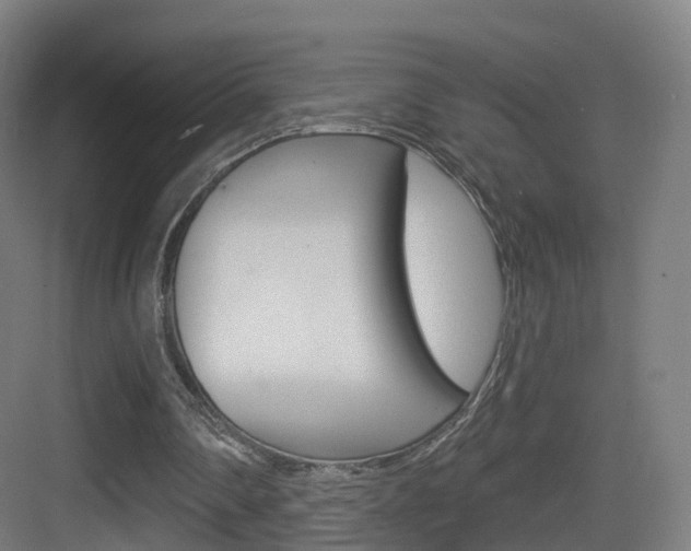 X0000083530290200702090727