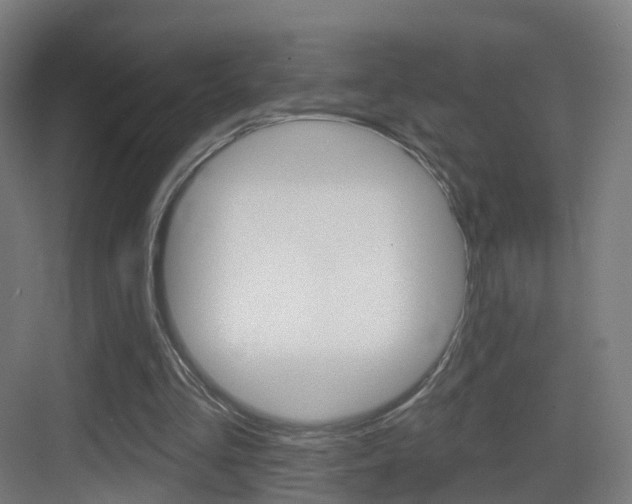 X0000083530293200702090727
