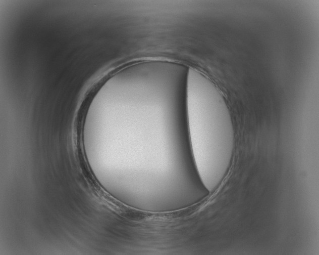X0000083530294200702090727