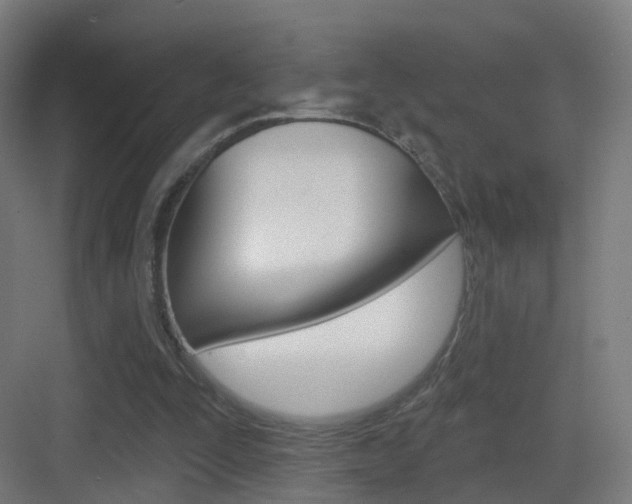 X0000083530295200702090727