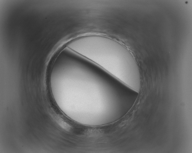 X0000083530296200702090727