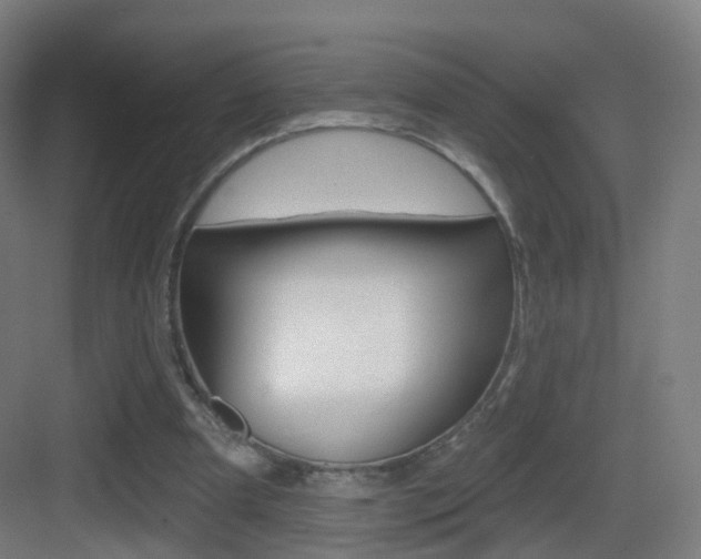 X0000083530297200702090727