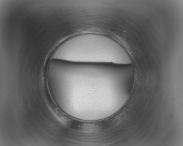 X0000083530298200702090727
