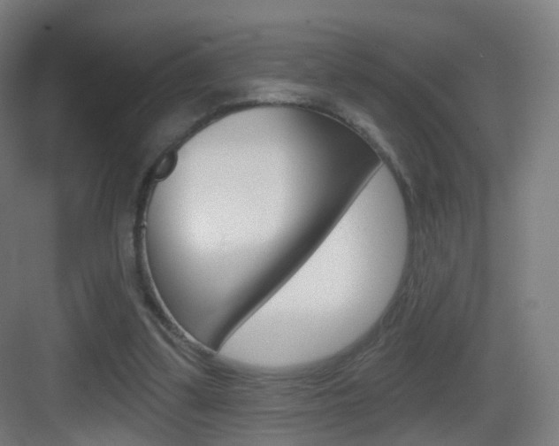 X0000083530299200702090727