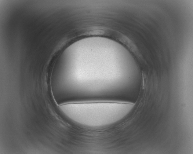 X0000083530300200702090727