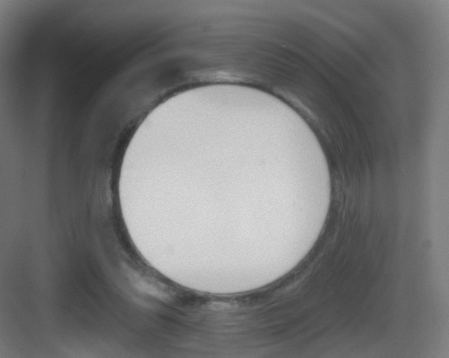 X0000083530302200702090727