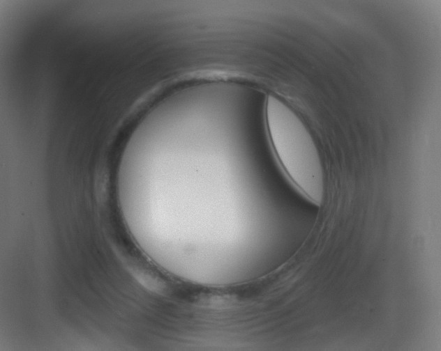 X0000083530304200702090727