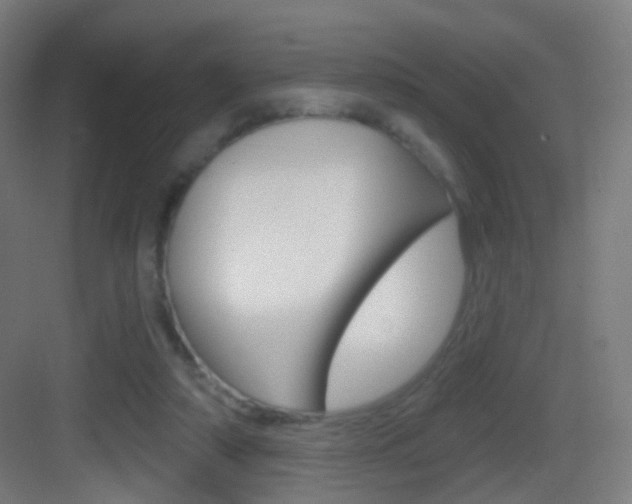 X0000083530306200702090727
