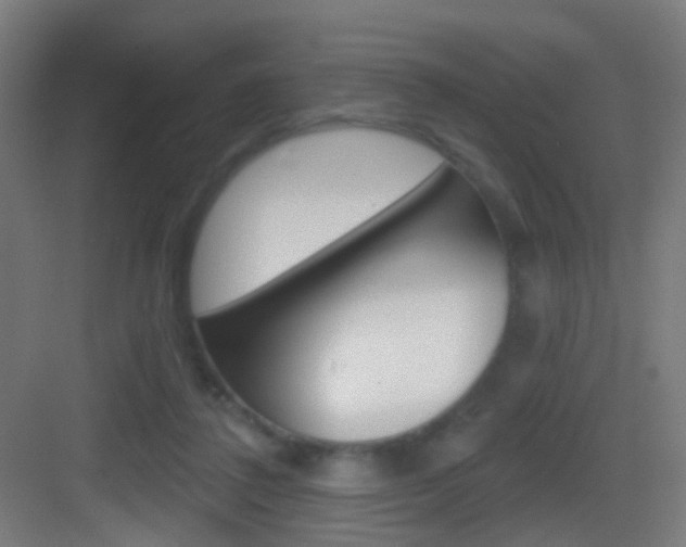 X0000083530308200702090727