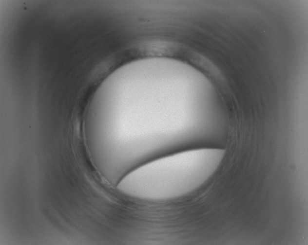 X0000083530310200702090727