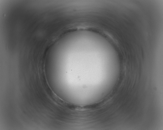X0000083530311200702090727