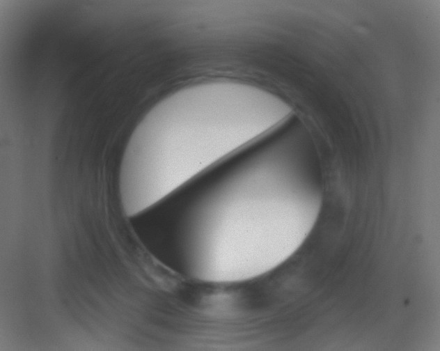 X0000083530312200702090727