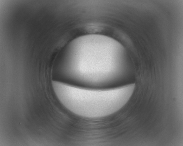 X0000083530315200702090727