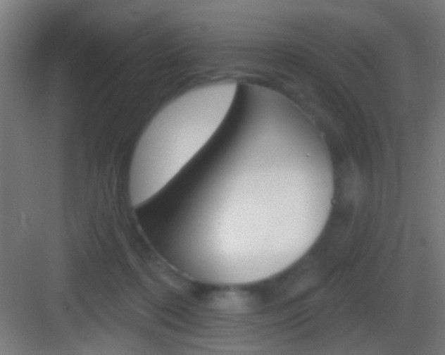 X0000083530316200702090727