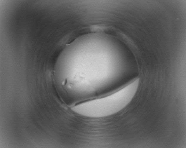 X0000083530329200702090726