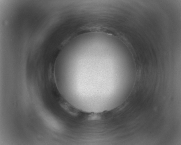 X0000083530335200702090726