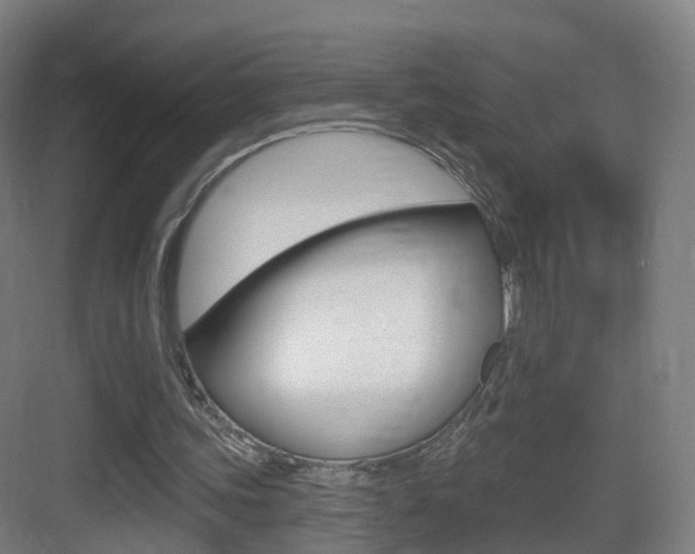 X0000083530339200702090726