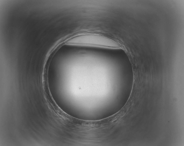 X0000083530340200702090726